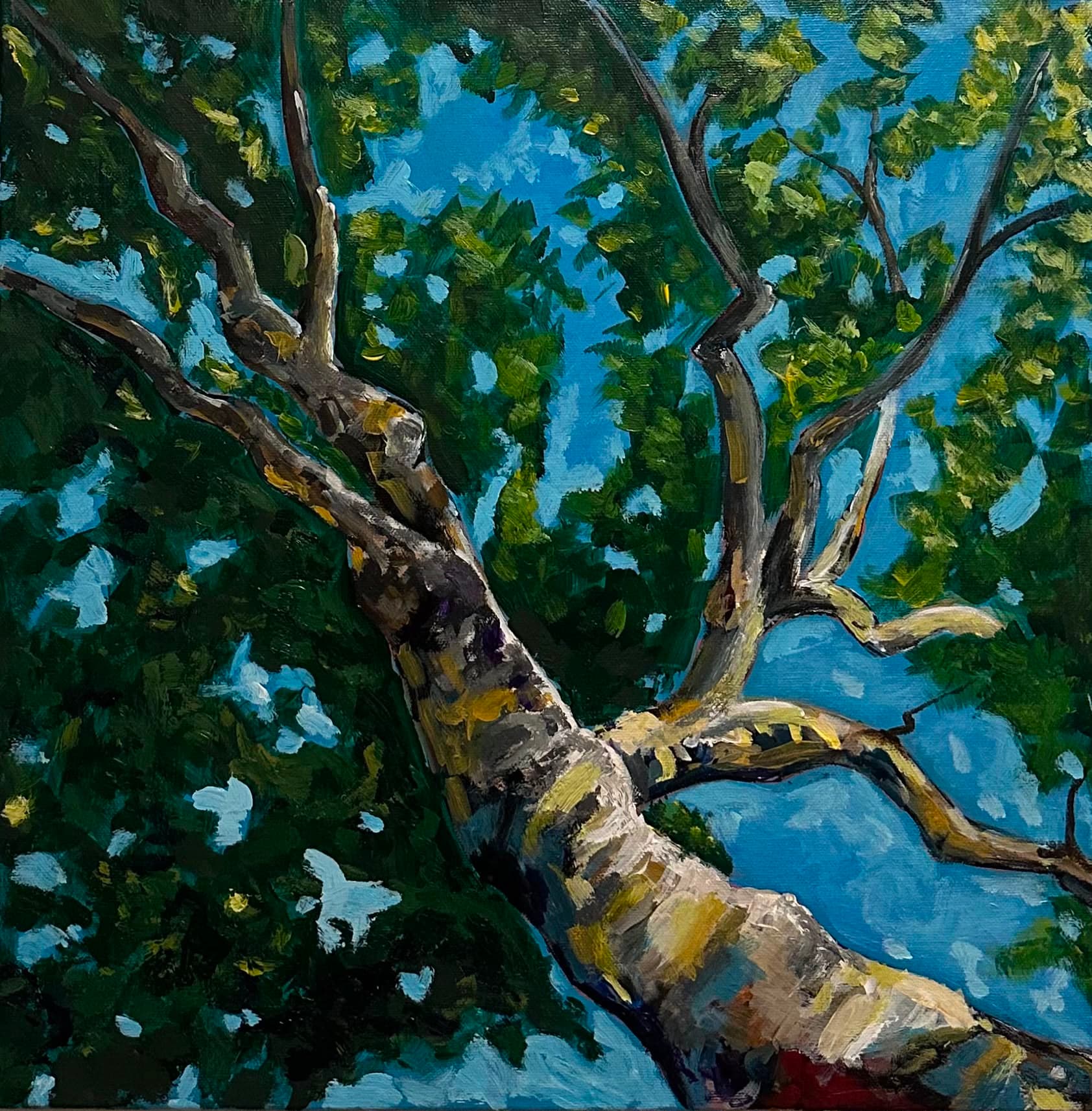 Painting looking directly up through the branches of a large tree, its pale trunk forking overhead against a blue sky broken up by dense green foliage rendered in thick palette-knife strokes.